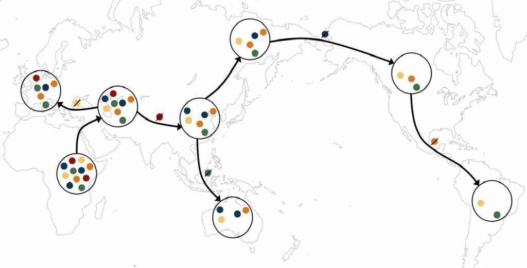 A schematic of the serial founder model. Each color represents a distinct allele. Migration events outward from Africa tend to carry with them only a subset of the genetic diversity from the source population, as some alleles are lost during migration events.