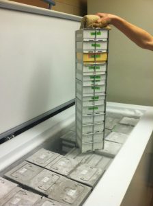 One of (several) freezers in the Tung lab containing boxes of fecal samples. Photo courtesy Jenny Tung.