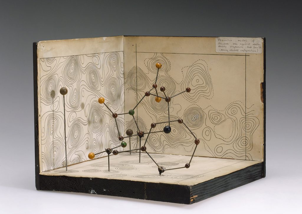 Molecular model of penicillin, the first antibiotic discovered. Later, antimicrobial peptides were also found to have antibiotic properties. By Science Museum London / Science and Society Picture Library [CC BY-SA 2.0 (http://creativecommons.org/licenses/by-sa/2.0)], via Wikimedia Commons.