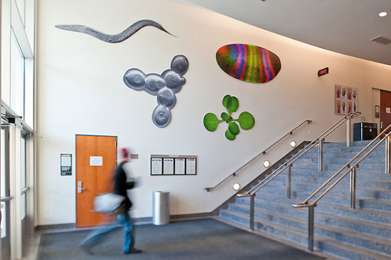 Installation of scientific art I did in our department's foyer.