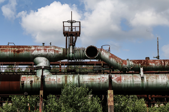 The former coking plant "Hansa" in Dortmund is now a museum. Parts of the large area are reclaimed by nature.