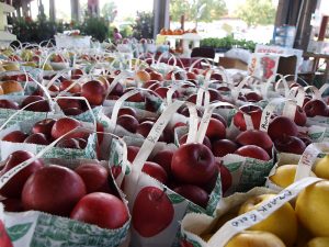 The DGRP lines were collected at the State Farmer's Market in Raleigh, NC. <a href="https://www.flickr.com/photos/kelandval/3966281489"Photo by Kel and Val via Flickr.</a>