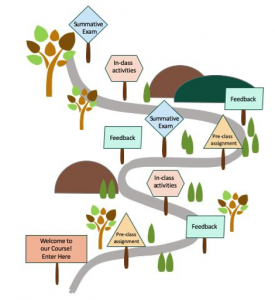 Infographic on how to structure courses