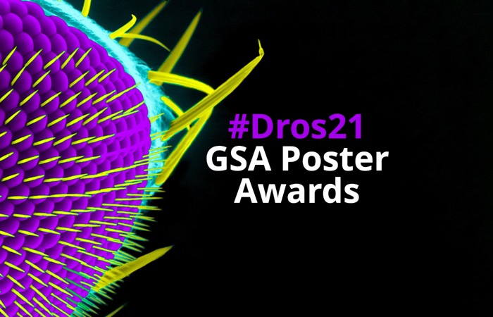 #Dros21 Poster Awards