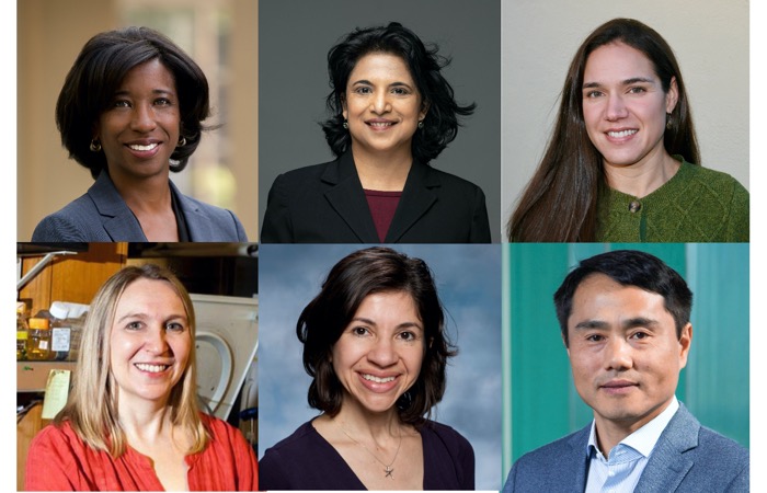 Photos of the 6 new members of the GSA Board of Directors