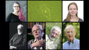 Photos of Veronika N. Laine, a bdelloid rotifer, Olga Vakhrusheva, Matt Meselson, Alex Kondrashov, John Maynard Smith, August Weismann