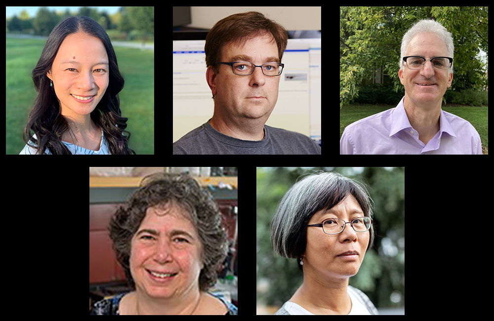 Headshots of the 5 elected members of the GSA Board of Directors on a black background.